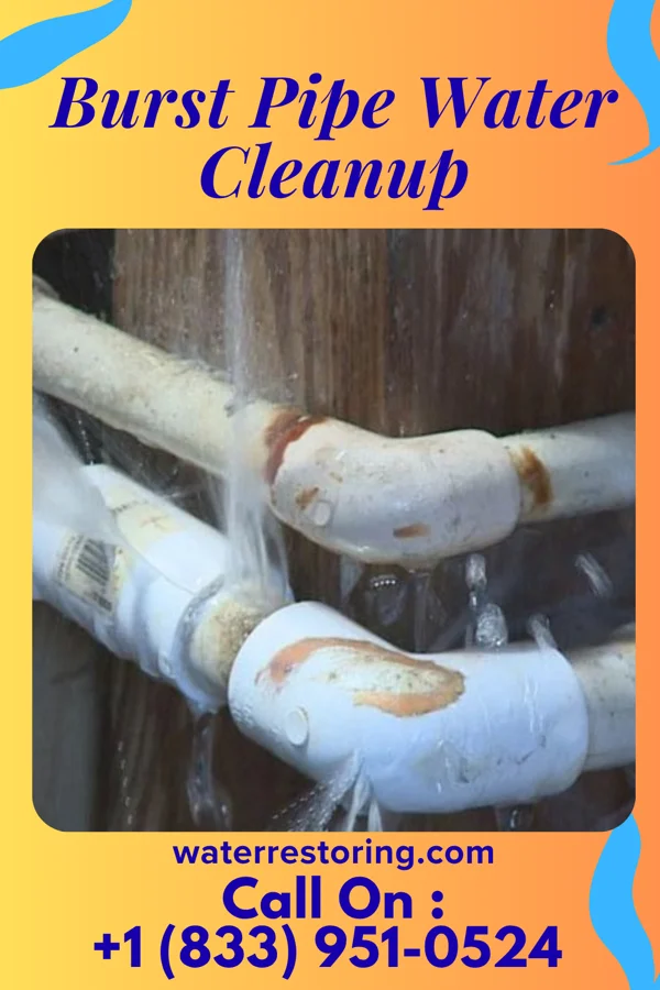 Burst Pipe Water Cleanup in Rockport, IN