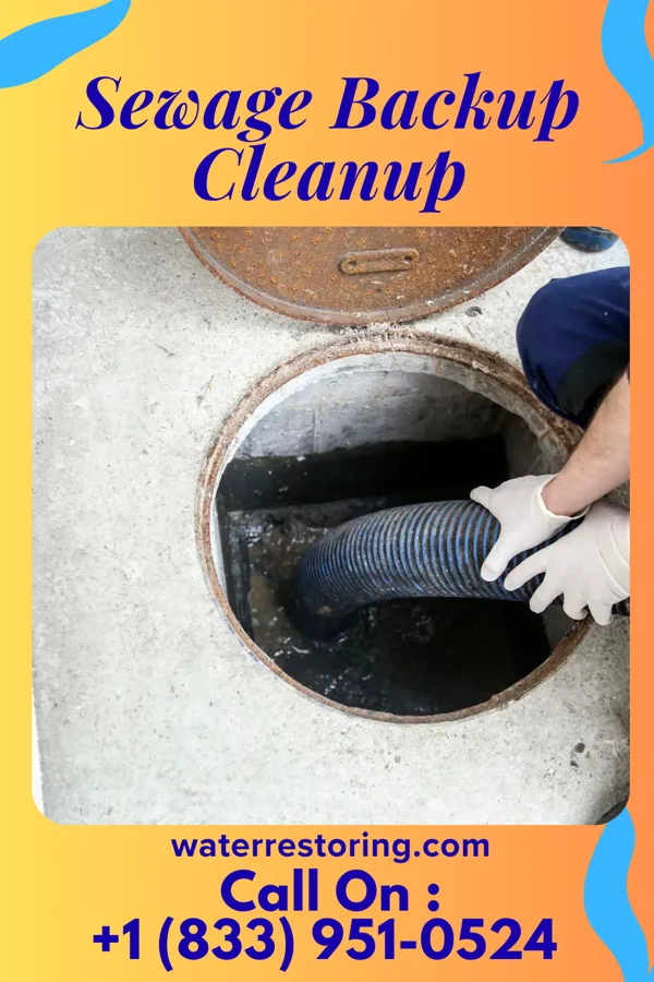 Sewage Backup Cleanup in Rockport, IN