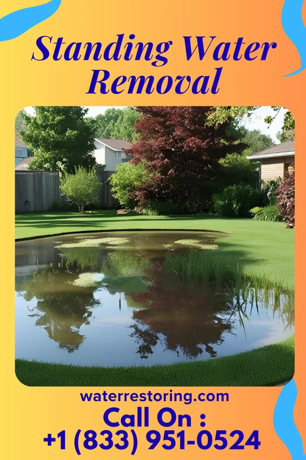 Standing Water Removal in Rockport, IN